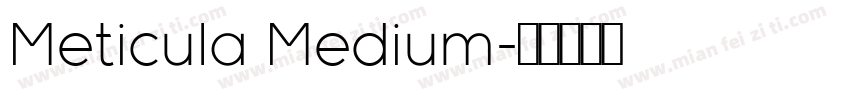 Meticula Medium字体转换